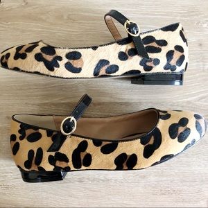 NEW Torrid Leopard Calf Hair Mary Janes Flats 8W